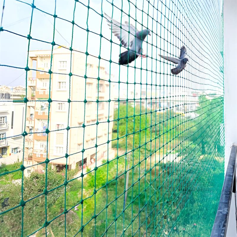 Balcony Pigeon Net Installation in Guntur Apartment